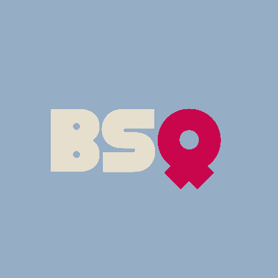 Logo Brescia Checkpoint