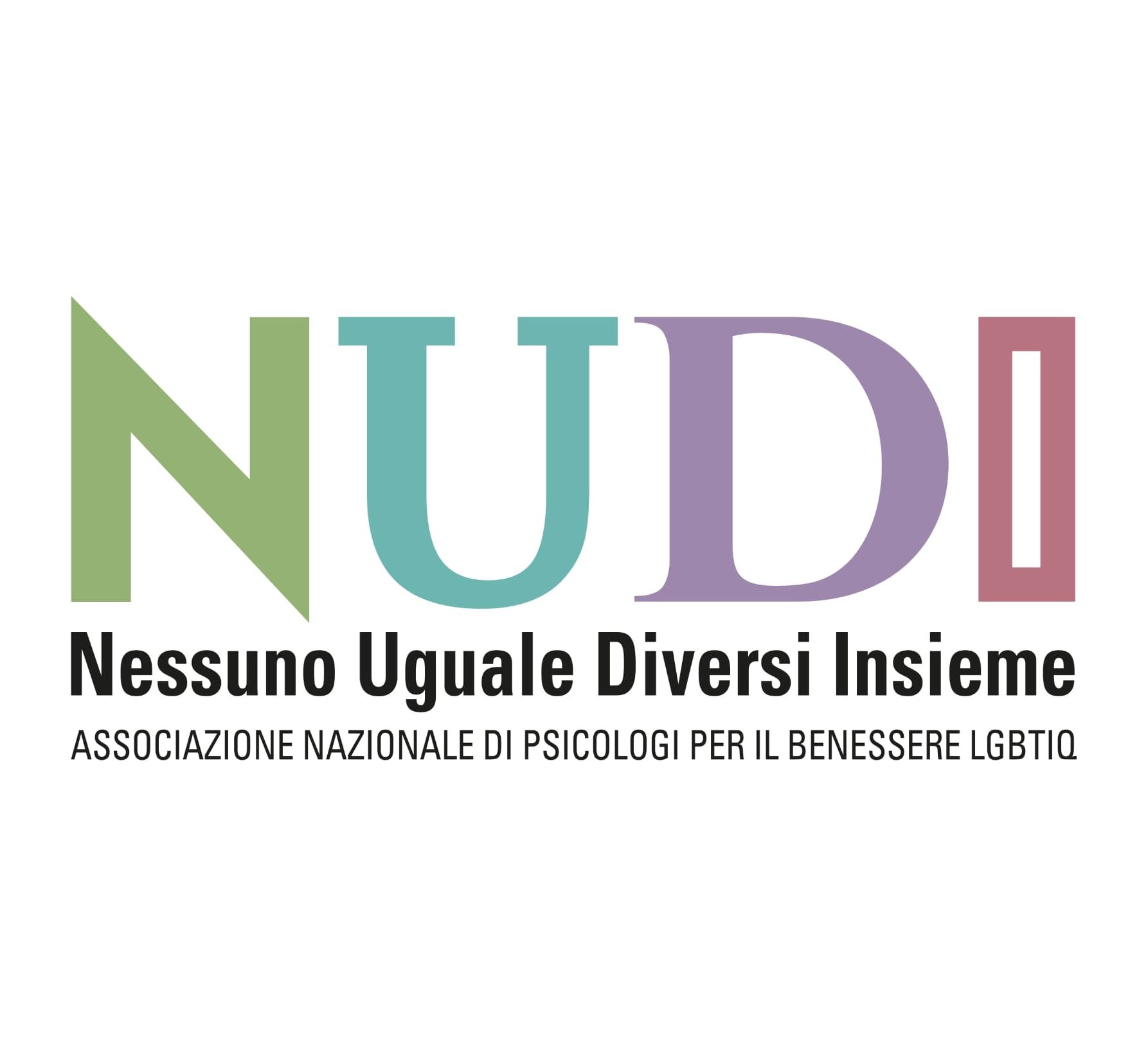Logo NUDI